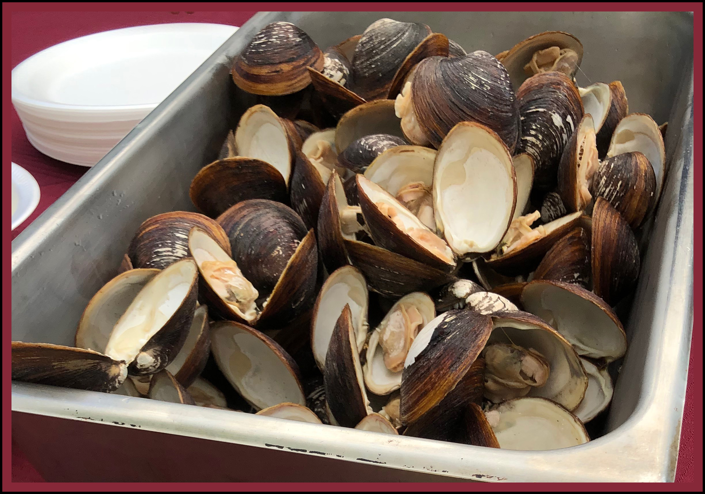 Clams