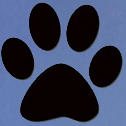 Pets